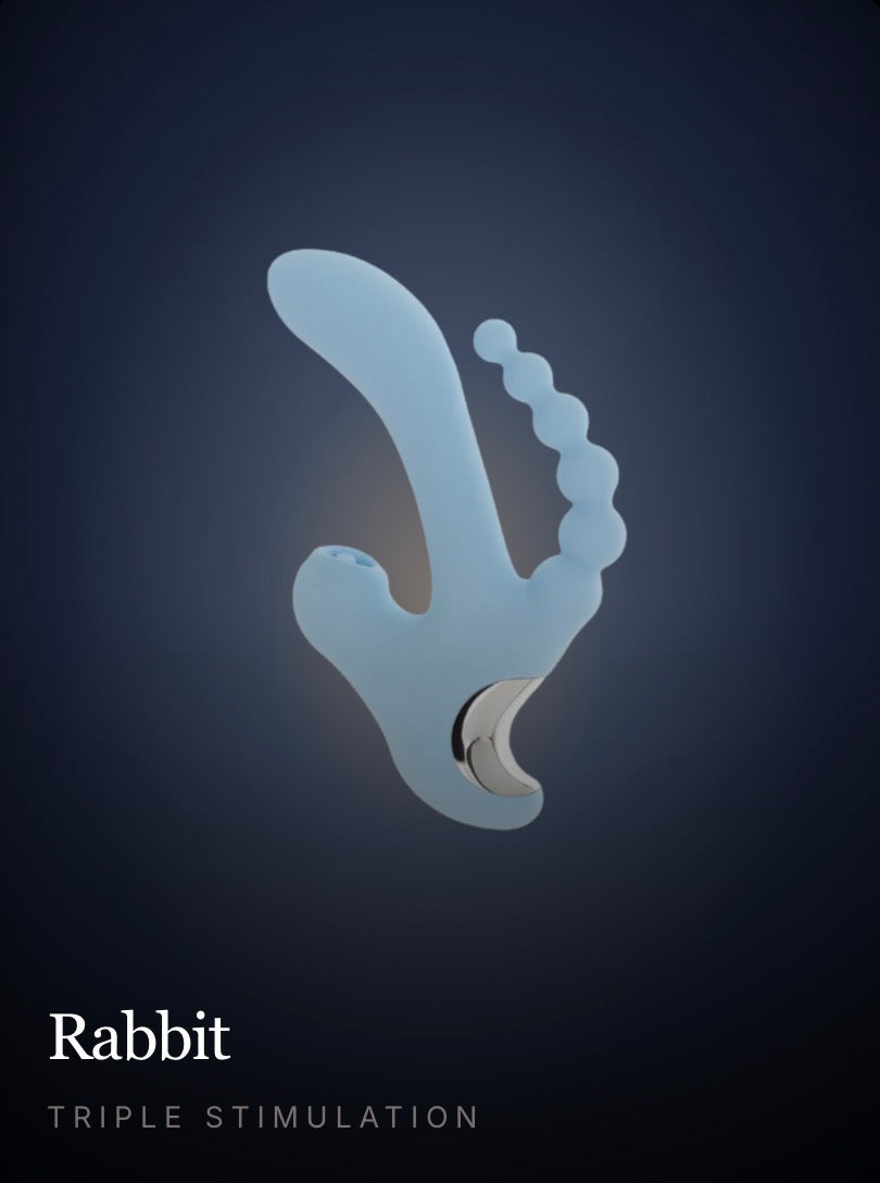 Rabbit